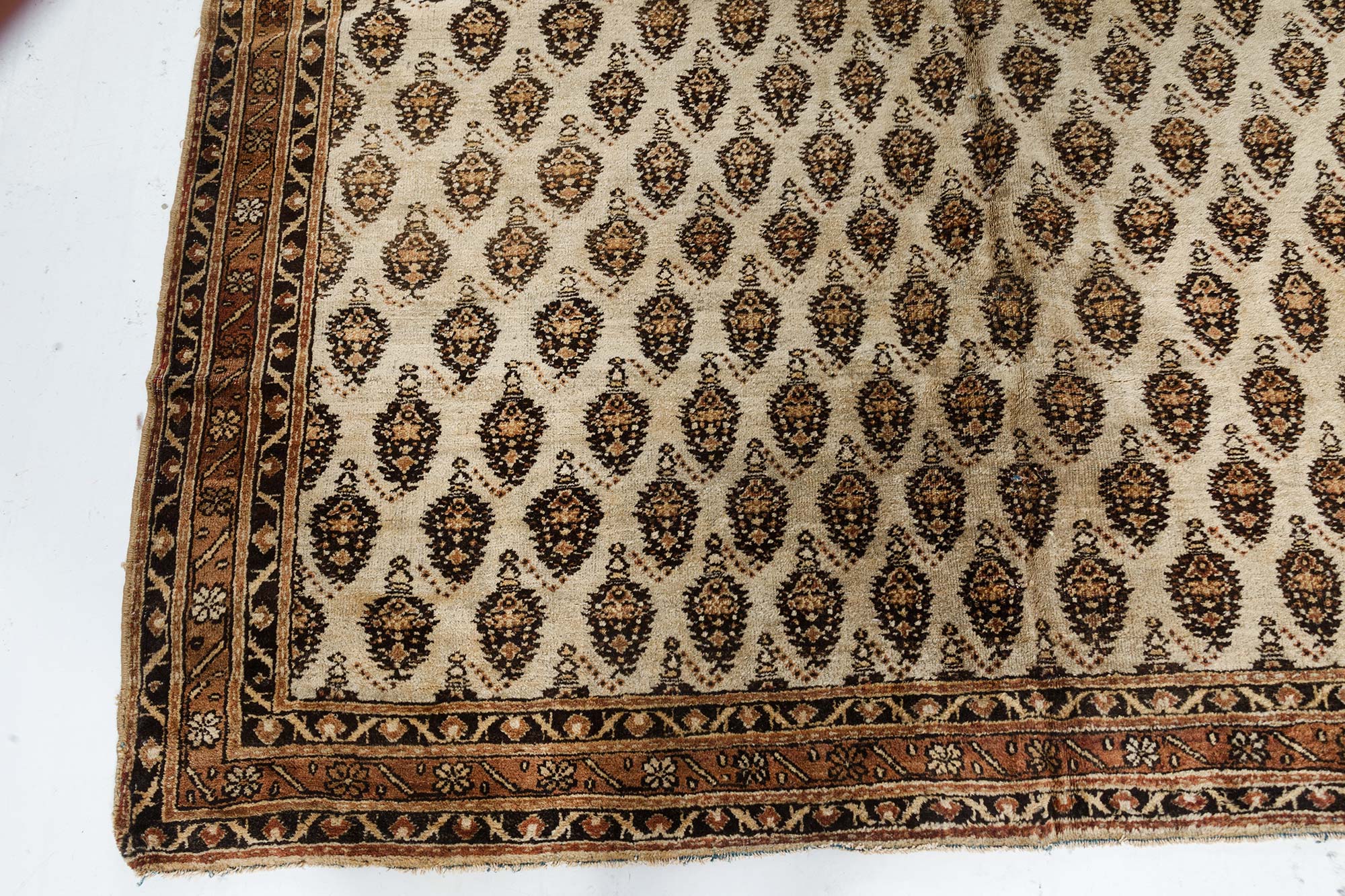 High-quality Indian Amritsar Hand Knotted Wool Carpet in Brown and ...