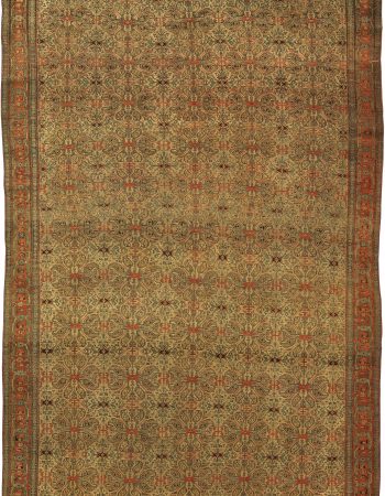 Senneh Rugs Carpets For Sale Antique Persian Fine Knot - 